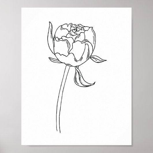 Poster Moitié ouvert bourgeon de fleur de pivoine dessin  (Devant)