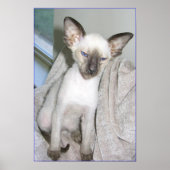 Poster Mojave the Great (Devant)