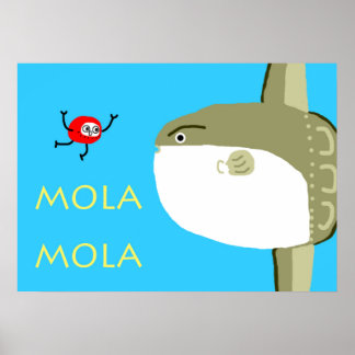 POSTER MOLA MOLA