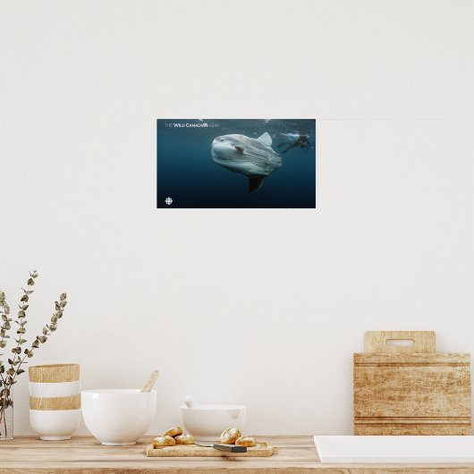 Poster Mola Mola (Cuisine)