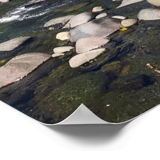 Poster Molalla (Coin)