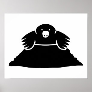 Poster Mole