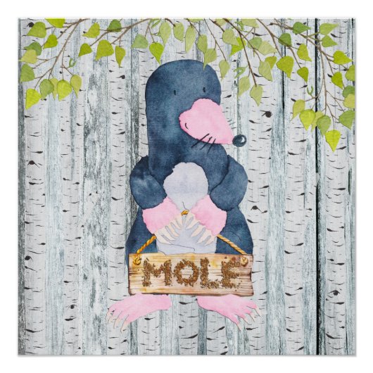 Poster Mole - Woodland Friends - Amis - Aquarelle (Devant)