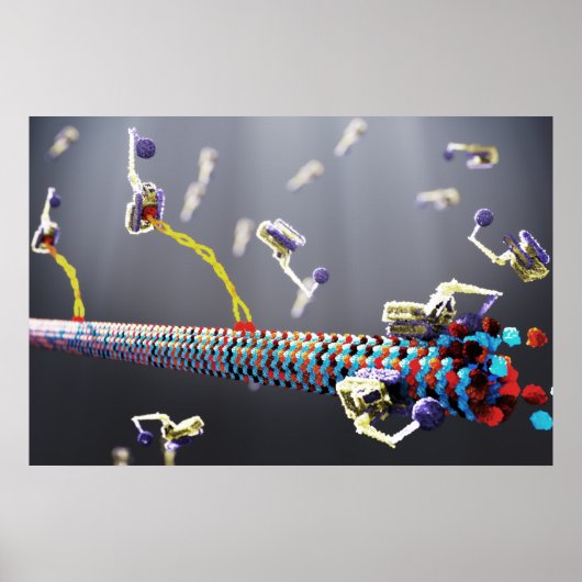 Poster Molecular Machines (Devant)
