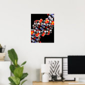 Poster molécule d'ADN. Modèle moléculaire de l'ADN (Bureau à domicile)