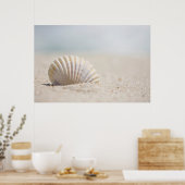 Poster Mollusk Seashell (Cuisine)