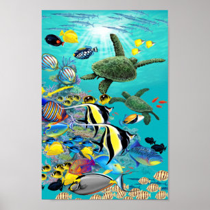 Poster Molokini Cove Hawaiian Tropical Fish and Sea Turtl