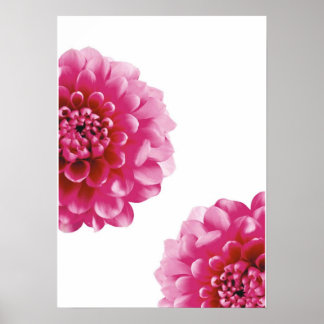 Poster môme de fleur rose