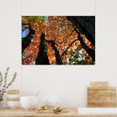 Poster Moment d'automne zen (Cuisine)