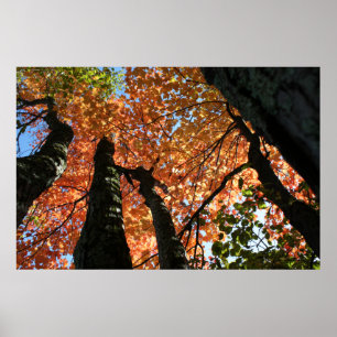 Poster Moment d'automne zen