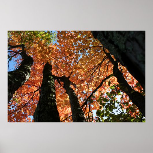 Poster Moment d'automne zen (Devant)
