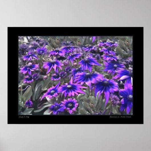 Poster Moment de lumière noire dans l'affiche de Gloriosa (Devant)