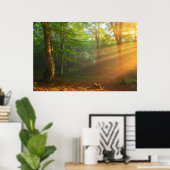 Poster Moment doré de lumière (Bureau à domicile)