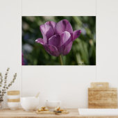 Poster Moment pourpre (Cuisine)