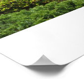 Poster Moment zen en SF (Coin)