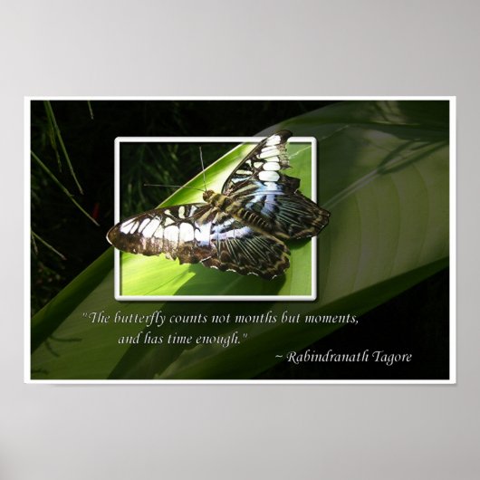 Poster Moments dans le temps (Devant)