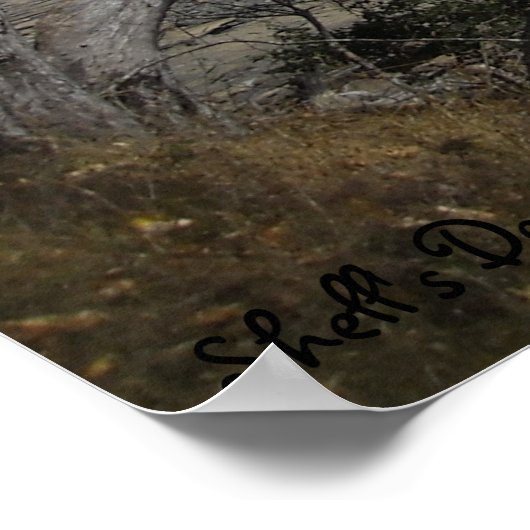 Poster Moments pacifiques (Coin)