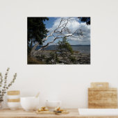 Poster Moments pacifiques (Cuisine)