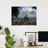 Poster Moments pacifiques (Bureau à domicile)