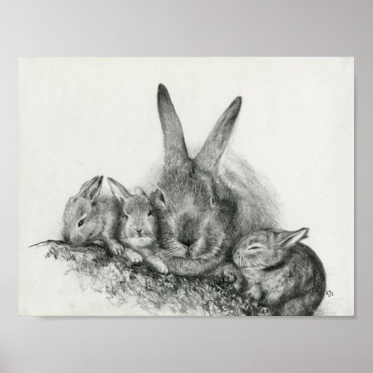 Poster Momma Rabbit Avec Bébé Bunnies Crayon Dessin (Devant)