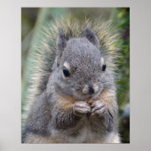 Poster Mon ami Fuzzy (Devant)