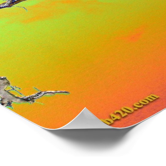 Poster mon arbre psychédélique préféré (Coin)