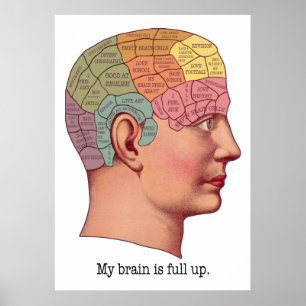Poster Mon cerveau est plein haut