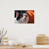 Poster Mon chat (Cuisine)