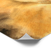 Poster Mon chat préféré (Coin)