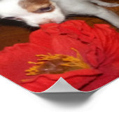 Poster Mon chien (Coin)