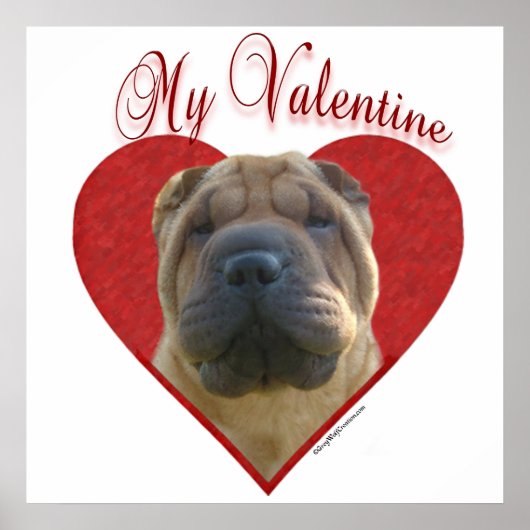 Poster Mon chinois Shar-Pei Valentine (Devant)