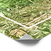 Poster Mon frère (Coin)