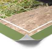 Poster Mon frère/ma sœur mon ami (Coin)