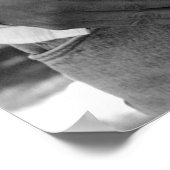 Poster Mon Levi's (Coin)