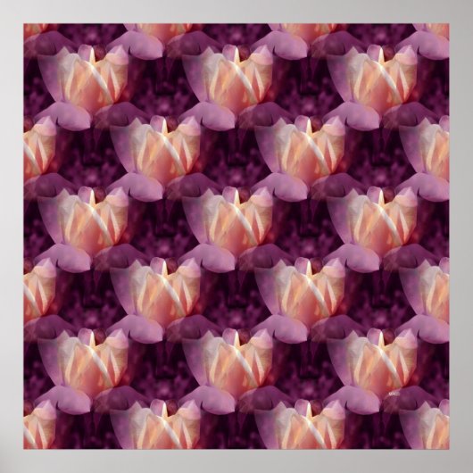 Poster Mon lit Rose.... (Devant)