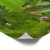 Poster Mon Monarque Papillon (Coin)