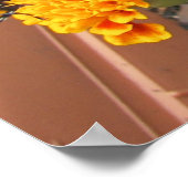 Poster Mon Monarque Papillons-affiche (Coin)