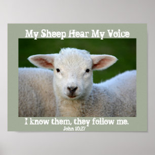 Poster Mon Mouton Entend Ma Voix, La Bible Verse Jean 10: