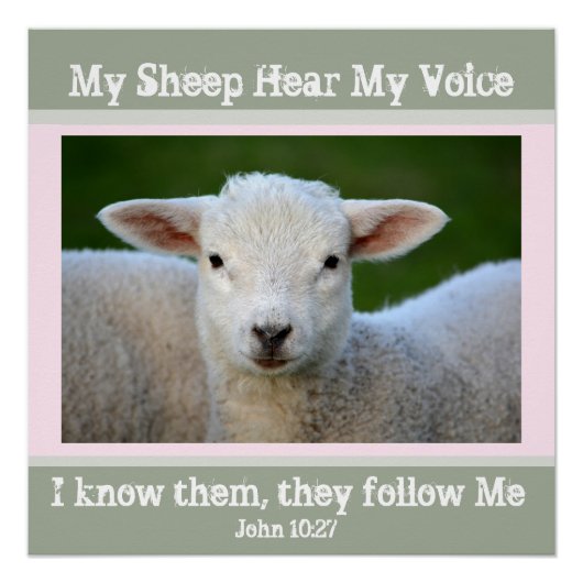 Poster Mon Mouton Entend Ma Voix, La Bible Verse Jean 10: (Devant)