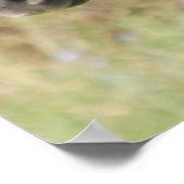 Poster Mon nouveau pony (Coin)