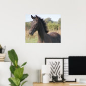 Poster Mon nouveau pony (Bureau à domicile)