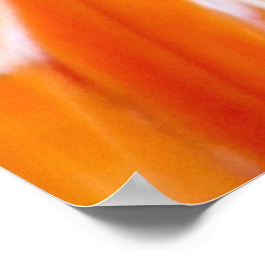 Poster Mon oeil sur vous_Poster (Coin)