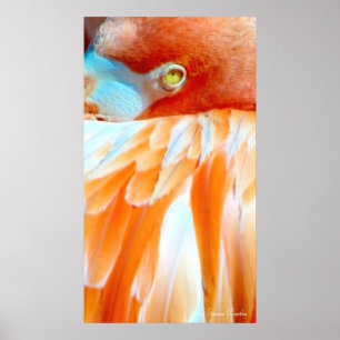 Poster Mon oeil sur vous_Poster
