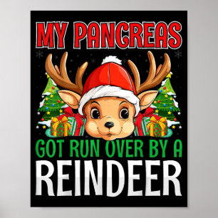 Poster Mon pancréas a été écrasé par un renne - Noël