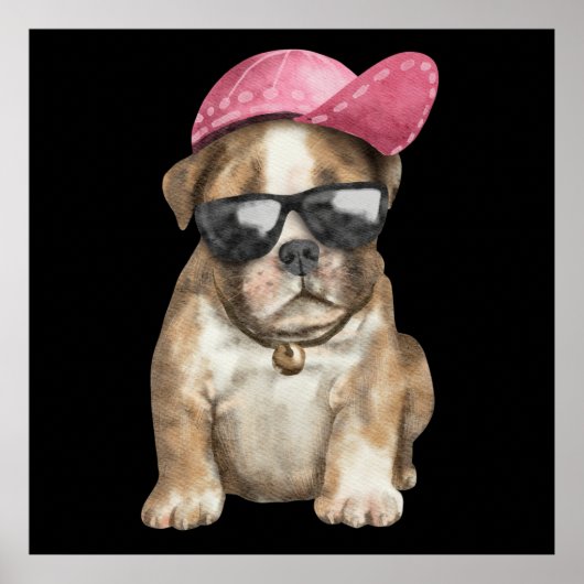POSTER MON PET COOL (Devant)