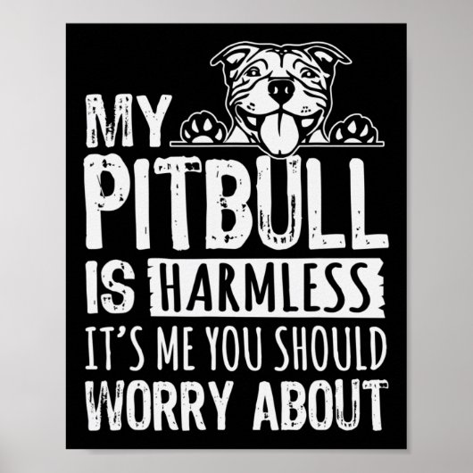 Poster Mon Pitbull est sans danger c'est moi que vous dev (Devant)