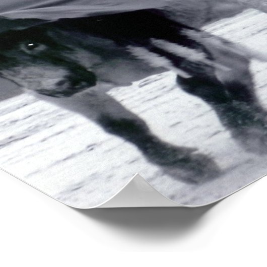 Poster mon pote ! (Coin)