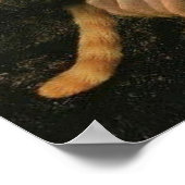 Poster mona lisa, leonardo da vinci, classic art, renaiss (Coin)