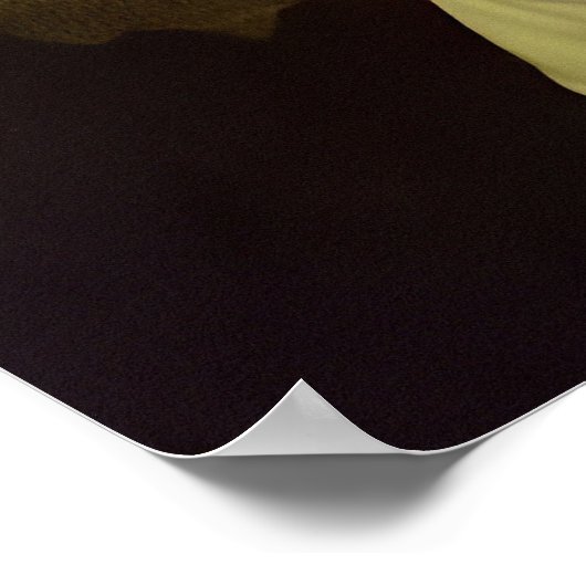 Poster Monaliza 519 ans plus tard (Coin)