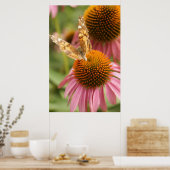 Poster Monarch Butterfly (Cuisine)